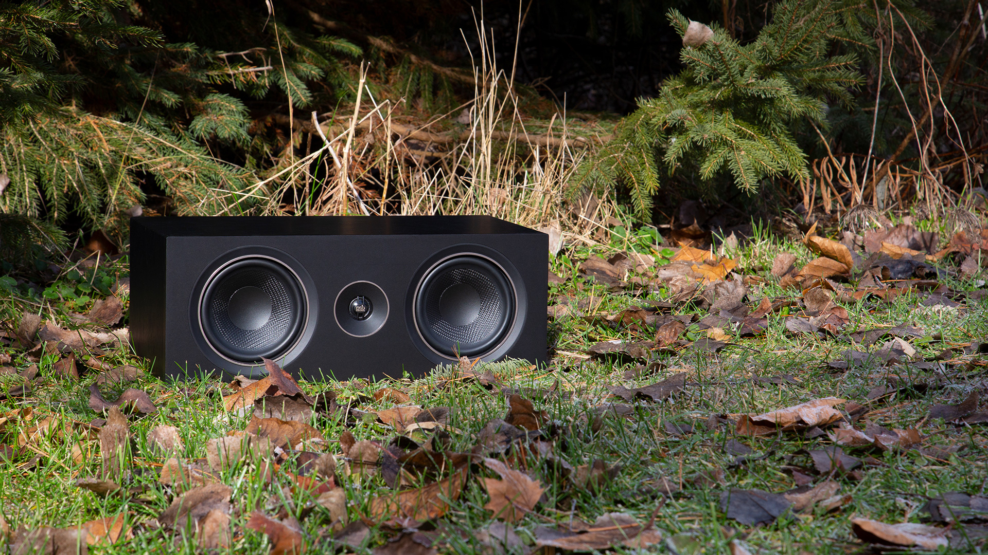 Акустическая система центрального канала