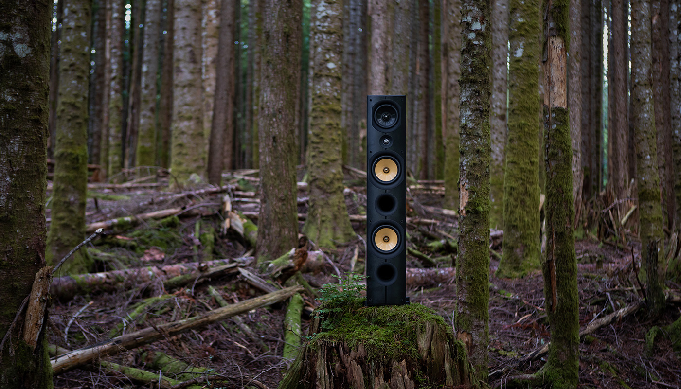 Напольная акустическая система