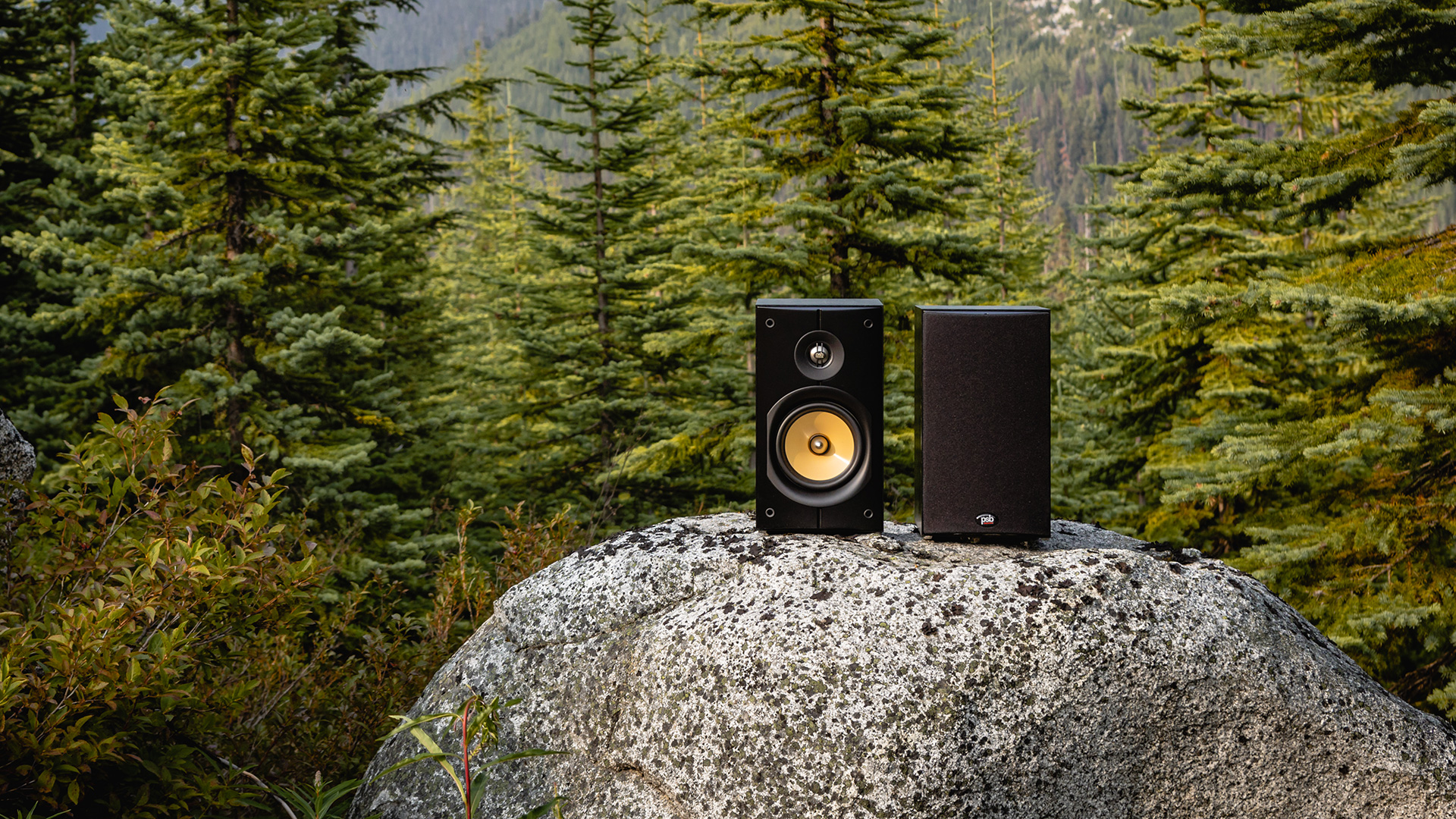 Полочная акустическая система