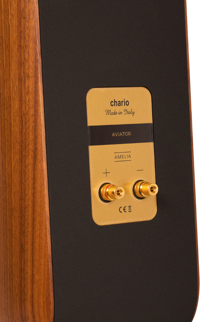 Напольная акустическая система