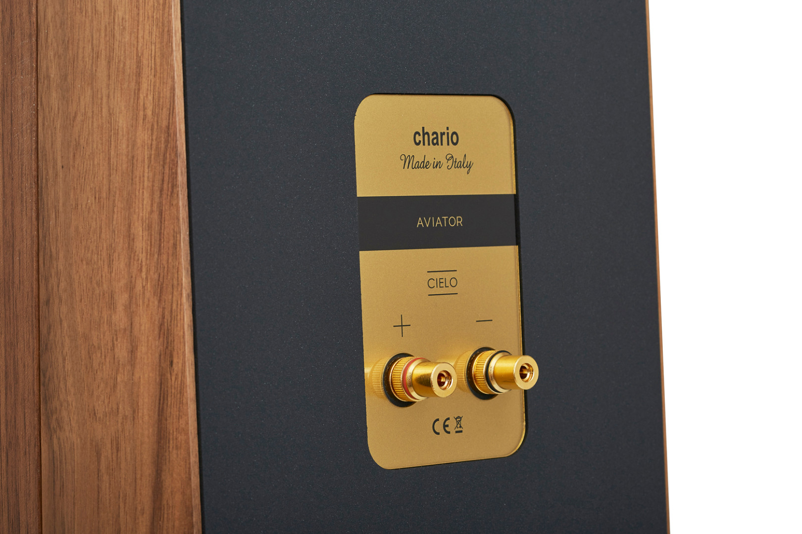 Напольная акустическая система