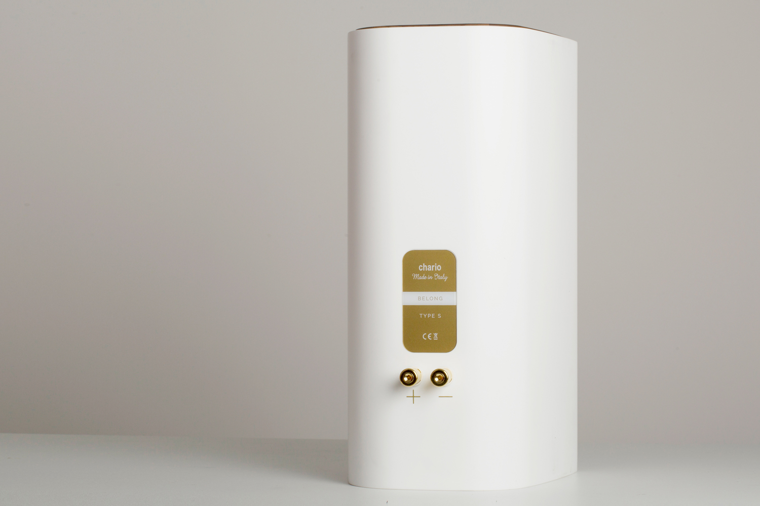 Полочная акустическая система