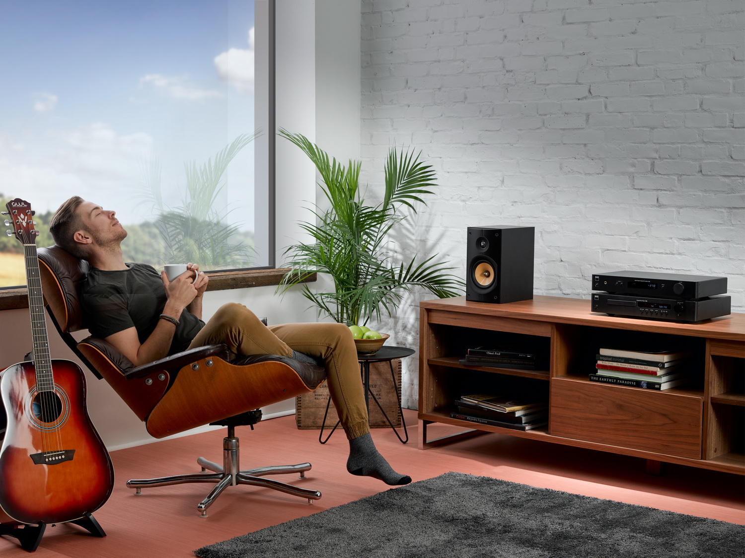 Интегральный стерео усилитель с цифровыми входами