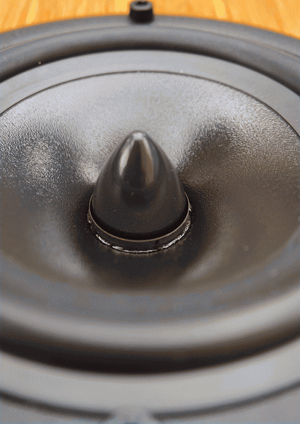 Настенная/полочная акустическая система